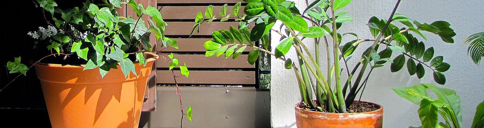 Futurelife-home2-slideshow